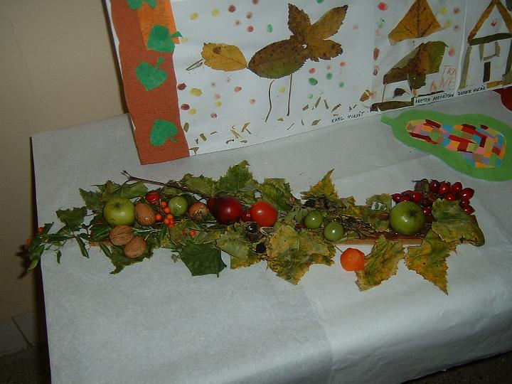DSCF0048.JPG